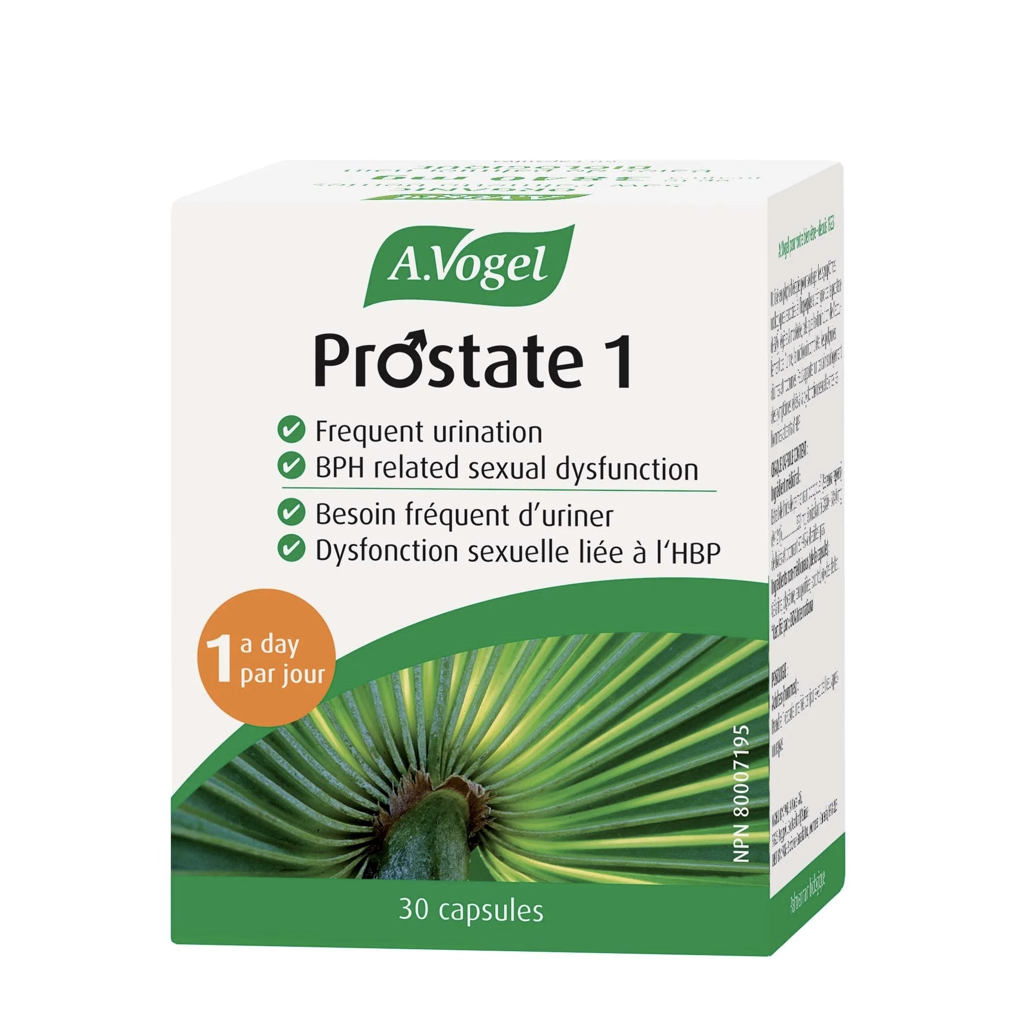 Prostate 1 - Capsules de palmier nain, dysfonction sexuelle reliée à l'HBP - 30 ou 60 capsules